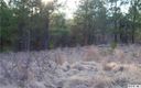 Lot 21 Archer Way sold home in Iron Station, SC
