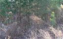 Lot 19 Archer Way sold home in Iron Station, SC
