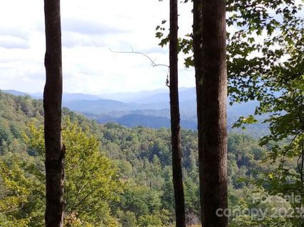 Homes in The Settlement At Thomas Divide, Bryson City