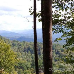 Lot 45 Thomas Divide Way