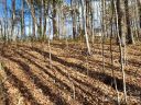 00 Barebridge Drive 16 sold home in Burnsville, SC