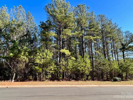 3124 Ashwood Park Drive