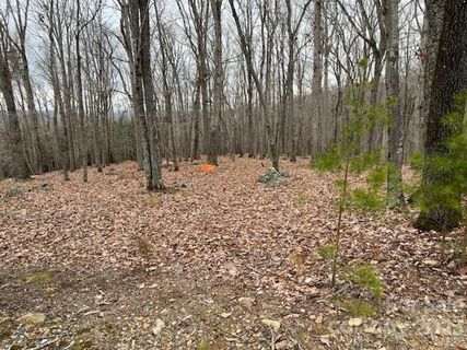 282 Cascading Creek Trail