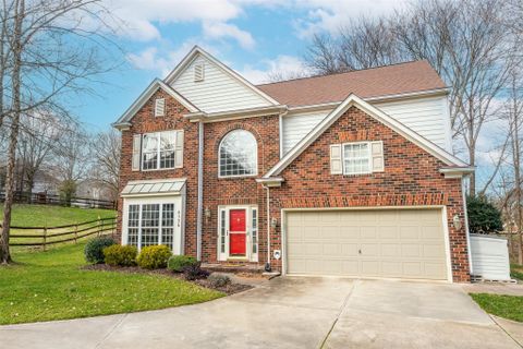 8136 Pelorus Lane