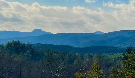 5 49 Acres Lot 1020 Vista Ridge Trail