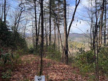 Tbd Birch Lane 34 sold home in Round Mountain Falls, Brevard, NC