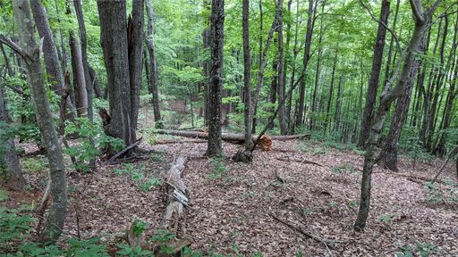 Lot 69 Mountain Crest Drive
