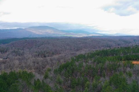 Lot 13 Forest Hills Drive