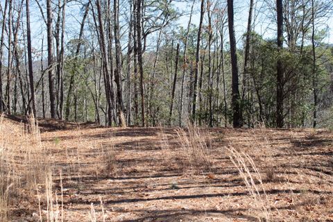 Lot 83 Oak Laurel Road