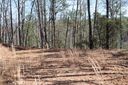 Lot 83 Oak Laurel Road sold home in Brevard, SC