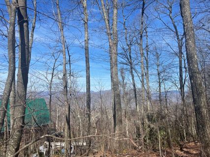 99999 Lytle Cove Road sold home in Alpine Mountain, Swannanoa, NC