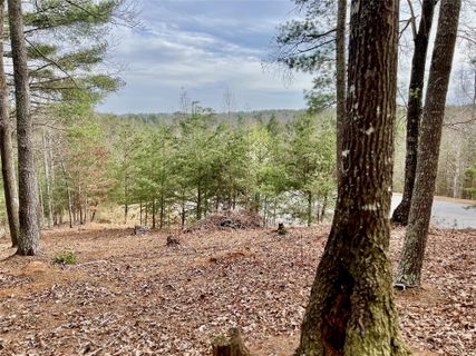 1 99 Acres Lot 21 Walnut Ridge