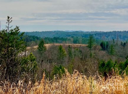 1 55 Acres Lot 940 Low Valley Way