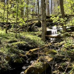 976 Slippery Rock Road
