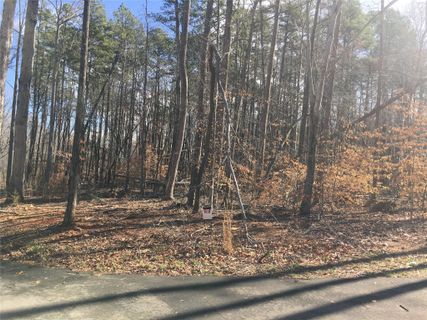 9974 Red Wolf Road 10 sold home in Saratoga, Mount Pleasant, NC