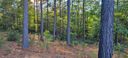 00 Eastman Place 280 sold home in Mill Spring, SC