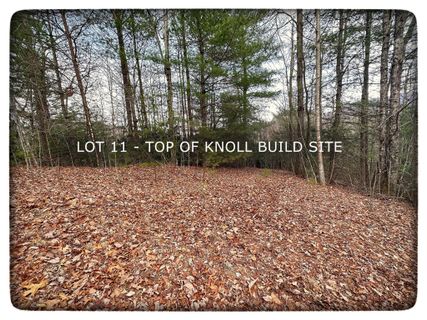Lot 11 Silverstone Drive sold home in Silverstone, Hendersonville, NC