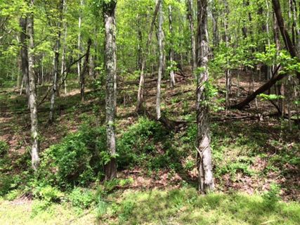 Lots 101 107 High Vista Drive sold home in High Vista Country C, Mills River, NC