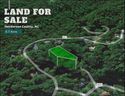 106 Delphi Terrace sold home in Hendersonville, SC