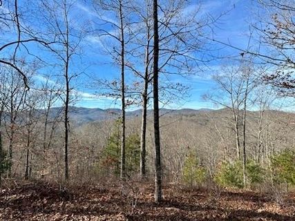 305 Raccoon Run active home in French Broad Crossing, Marshall, NC