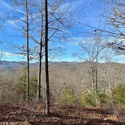 305 Raccoon Run