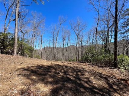 220 Cheyenne Falls Trail 58