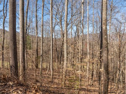 112 S Lindon Cove Road 34 sold home in Lindon Cove Crossing, Candler, NC