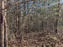 4801 Pea Ridge Road sold home in Morganton, SC