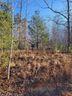 72 Tayberry Drive sold home in Nebo, SC