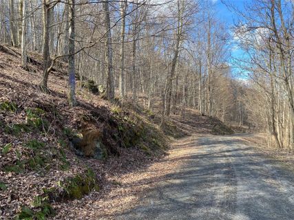 Lot Iii Bear Springs Road sold home in Bear Ridge, Bakersville, NC