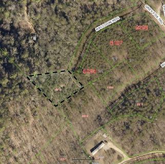 100 Racoon Ridge 13 sold home in Ridge Walk, Marion, NC