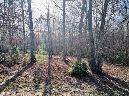 404 Lookout Dam Road