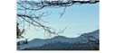 0 Black Gum Drive sold home in Rutherfordton, SC