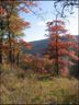 102 Trillium Lane C-3 sold home in Black Mountain, SC