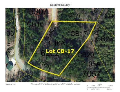 1 096 Acres Lot Cb 17 Low Country Road CB-17