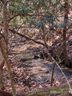 368 Campbell Drive sold home in Pisgah Forest, SC