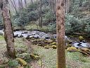 Lot 86b Reservation Road 86B sold home in Maggie Valley, SC