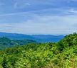 Lot E3 Marble Heights sold home in Hendersonville, SC