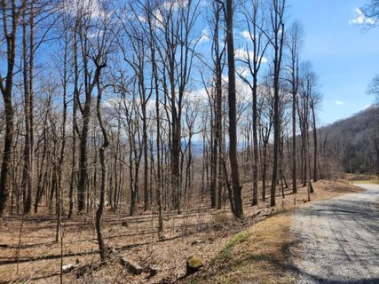 00 Zurich Road 33 sold home in Rich Knob Estates, Spruce Pine, NC