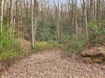 0 Trillium Lane 17