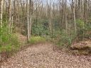 0 Trillium Lane 17 sold home in Rosman, SC