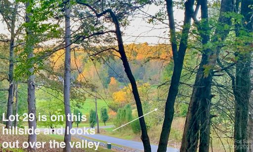 1 63 Acres Lot 29 Red Cedar Way