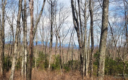 0 Parkway View Drive sold home in Rocky Mountain Acres, Lake Toxaway, NC