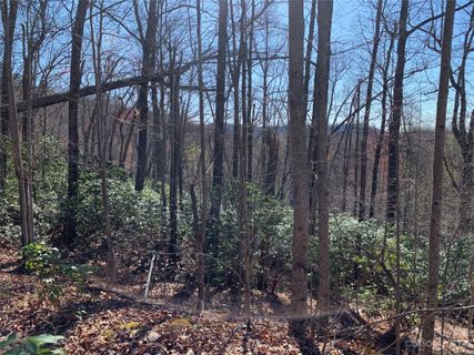 Tbd Rhododendron Drive 740
