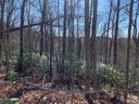 Tbd Rhododendron Drive 740 sold home in Old Fort, SC