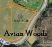 1185 Harper Lee Drive 10 sold home in Newton, SC