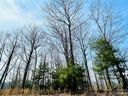 38 Chimney Crest Drive sold home in Asheville, SC