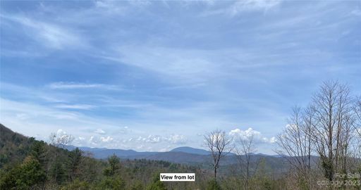 Lot 68 Peppervine Circle