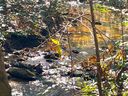 Lot 30 S Cross Creek Trail sold home in Mill Spring, SC