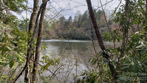 Tbd Trailside Court 11